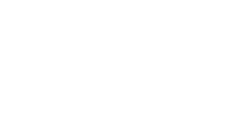 Logo Bagii